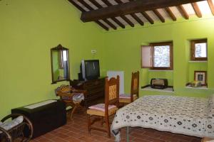斯波萊托的住宿－Casa Borgo Marco e Cristina，一间带绿色墙壁的卧室、一张床和电视