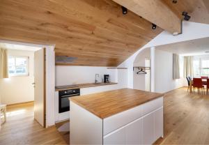 Η κουζίνα ή μικρή κουζίνα στο Dorf Loft Montafon by Pferd auf Wolke