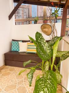 a living room with a couch and a plant at Casa Mar in Praia do Forte