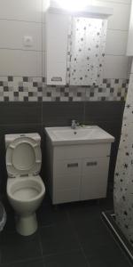 a bathroom with a toilet and a sink and a mirror at Sokobanja apartman Aviva in Soko Banja +39 photos