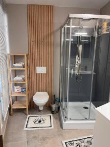 uma casa de banho com um chuveiro e um WC. em Pina's Appartment em Namur