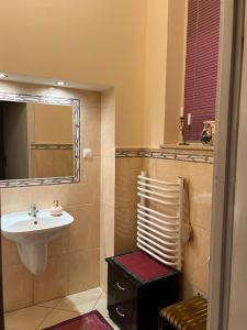 a bathroom with a sink and a mirror at Willa Starówka in Nałęczów