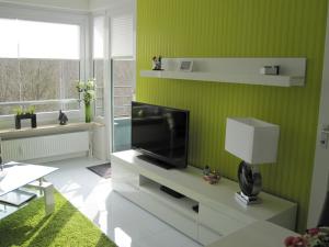 a living room with a television on a green wall at Smucke Stuuv II & III in Glücksburg