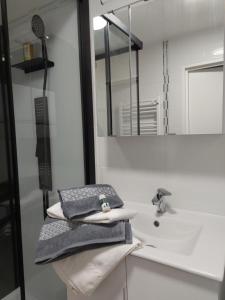 W łazience znajduje się umywalka, lustro i ręczniki. w obiekcie Appart'Hotel la Savoureuse w Belfort +23 zdjęcia