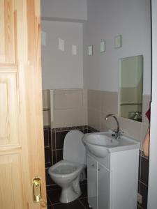 a bathroom with a toilet and a sink at Rooftop view in Riga