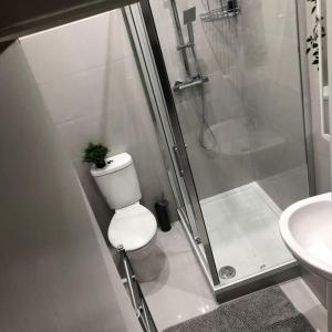 a bathroom with a shower and a toilet and a sink at Four bedroom property for 10 guests, great location Aldgate E1 close to Tower bridge in London