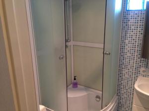 W łazience znajduje się prysznic ze szklanymi drzwiami. w obiekcie Apartamenti Elkonju 3 w mieście Lipawa