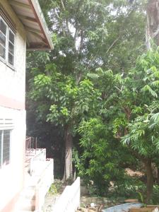 ein Baum vor einem Haus mit weißen Bänken in der Unterkunft Cocoa Cabana in Scarborough
