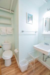 a white bathroom with a toilet and a sink at Terrace Inn and 1911 Restaurant in Petoskey