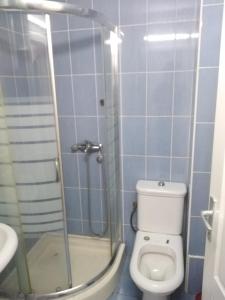 uma casa de banho com um chuveiro, um WC e um lavatório. em Kraljevski apartman em Kraljevo