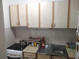 uma cozinha com armários de madeira, um lavatório e um fogão em Kraljevski apartman em Kraljevo