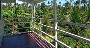 Zahrada ubytování Bayay ni Nanay Bed & Breakfast in Magpupungko Beach Road