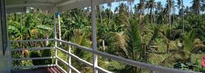 Zahrada ubytování Bayay ni Nanay Bed & Breakfast in Magpupungko Beach Road