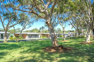 a tree in the middle of a grassy field at Lakeside Cabins & Holiday Village in Sussex inlet