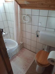 a small bathroom with a toilet and a sink at House Sumska Idila in Jasenak +7 photos
