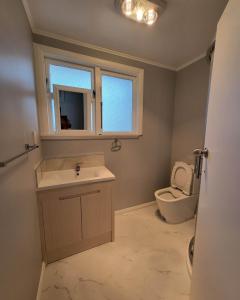 een badkamer met een wastafel en een toilet bij Stylish Homestay Close CBD in Hamilton