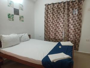 uma cama num quarto com uma cortina e um visor em RONNE'S Pamela 1BHK Apartment in Anjuna em Assagao