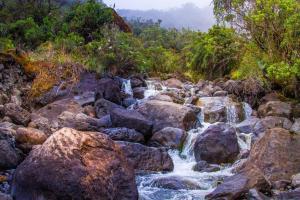 um rio com pedras e árvores ao fundo em Acogedora Cabaña Chalet en Medio de la Naturaleza em Aquitania