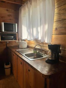 a kitchen with a sink and a microwave at Cabaña Trojas Valverde Vega in Trojas