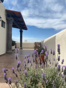 Fotografie z fotogalerie ubytování Hotel La Lejona v destinaci San Miguel de Allende
