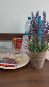a table with a plate and glasses and a potted plant at Apartament Centru in Cugir