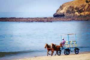 Fotografie z fotogalerie ubytování Natures Tranquil Villa. Feel the peace v destinaci Kashid