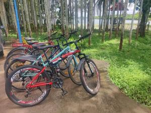 Fotografie z fotogalerie ubytování Cosmic Connect Trails Kabini v destinaci Antarasante