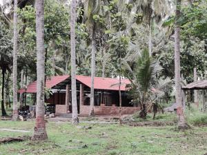 Fotografie z fotogalerie ubytování Cosmic Connect Trails Kabini v destinaci Antarasante
