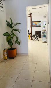 a hallway with a potted plant on a tile floor at Hospedaje DJ in Buga
