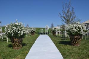 Boara Pisani的住宿－彼得拉卡酒店，一条带白色花卉和白色椅子的过道
