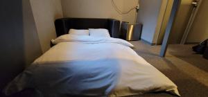 Postel nebo postele na pokoji v ubytování Rhodes Otsuka Hotel
