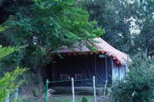 穆克缇斯瓦Forest Acres Camps的相册照片