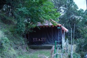 Forest Acres Camps外面的花园