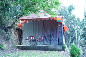 Forest Acres Camps外面的花园