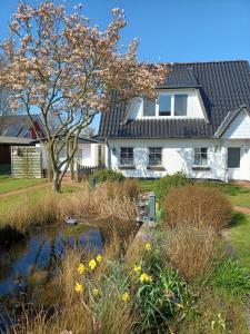 a house with a pond in front of a yard at Ferienwohnung Dau II in Nübbel