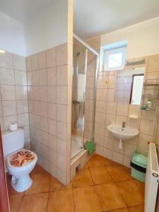een badkamer met een douche, een toilet en een wastafel bij Pokoje Gościnne u Piotra in Ustronie Morskie
