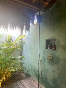 una ducha en una habitación con una pared verde en Villa Hele en General Luna