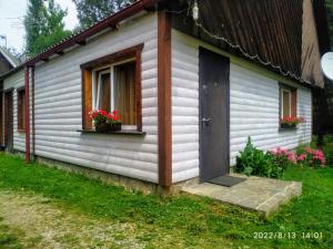 una pequeña casa con puerta y ventana en Відпочинковий комплекс "Alpha Plus" en Yablunytsya