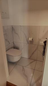 a bathroom with a toilet and a tiled wall at SPA RESIDENZ NEUSIEDL APPARTMENTS in Neusiedl am See