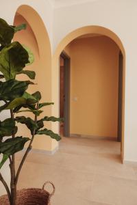 a hallway with a plant in a room at Casa Velha Apartments - Adults friendly in Albufeira
