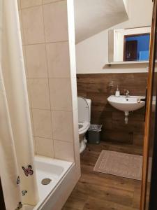 een badkamer met een toilet, een wastafel en een douche bij Privát Kováč in Vysoké Tatry