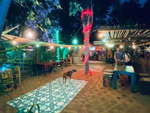 a dog standing in front of a restaurant at night at Karoozin Village in Oudtshoorn