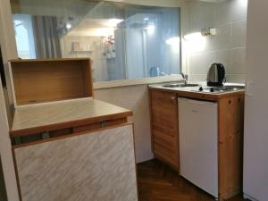 a small kitchen with a sink and a microwave at Liberty Bridge Zenta in Budapest