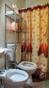 a bathroom with a toilet and a shower curtain at Mi casita in Tandil