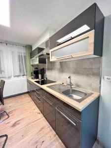 eine Küche mit einer Spüle und einem Kühlschrank in der Unterkunft Haus an der Sieber Zimmer 2 in Herzberg am Harz