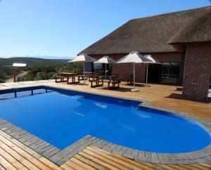 a large blue swimming pool next to a building at Klein Karoo Game Lodge in Oudtshoorn