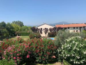 a garden of flowers with a house in the background at Bernardi apartment il Lauro in Lazise