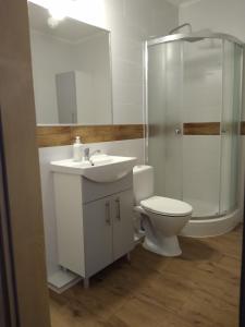 a bathroom with a toilet and a sink and a shower at APARTAMENT MARTA in Biłgoraj