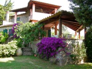 Zahrada ubytování B&B Le Palme
