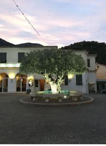 uma árvore sentada em frente a um edifício em Village Médiévale, superbe appartement vu mer et Monaco em Roquebrune-Cap-Martin